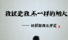 我就是我是不一样的花火