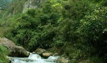 最美的春光就是你