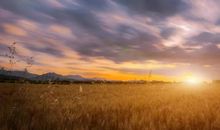 希望每个人都学会感恩