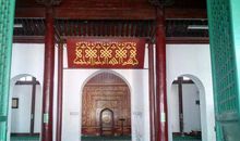 天外飞来一只鸟