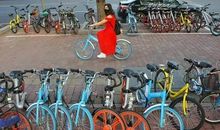 共享单车的霸占