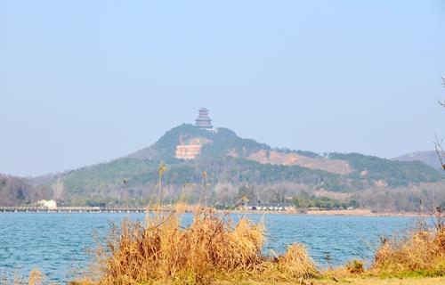 美丽的游泳池