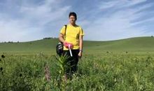 北京坝上草原行夏令营