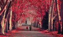 美触动了我的心灵