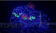 花仙子和萤火虫