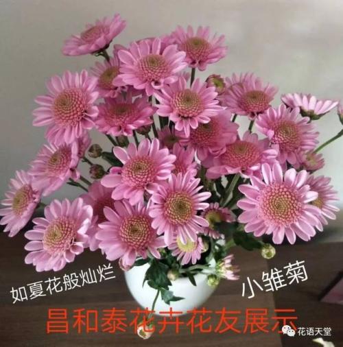 提醒隐藏的心
