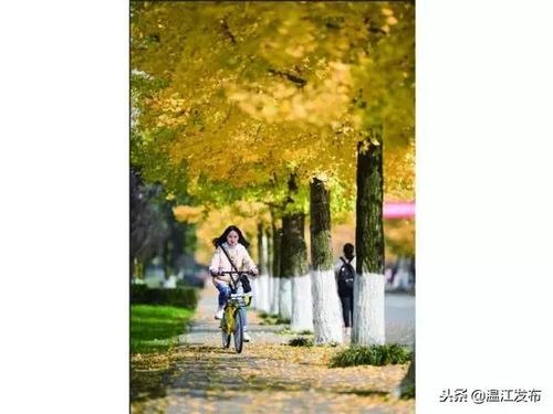 我走了，我没有遗憾。