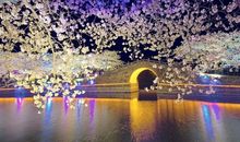 春风醉人的夜晚