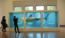 无动于衷的寂静