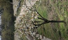 等候四季的变迁