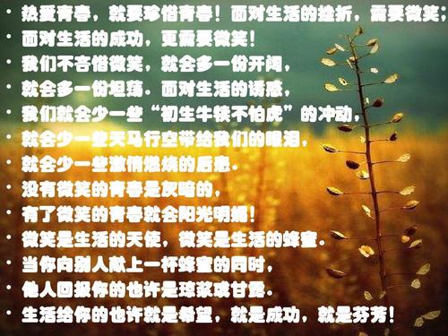 珍惜微笑