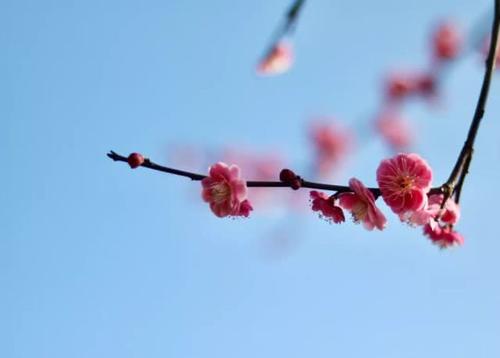 吉山水暖