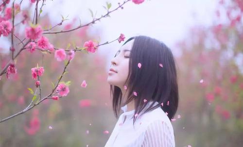 蒸馏器