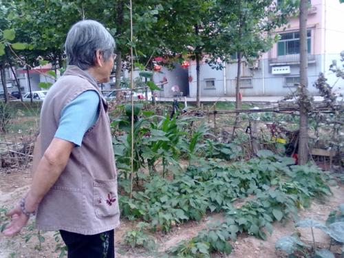 爱蔬菜恩典