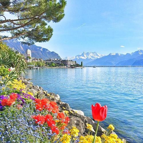 胸襟开阔是幸福的底线