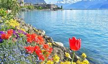 豁达是快乐的底线