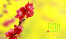 生命之美，春暖花开