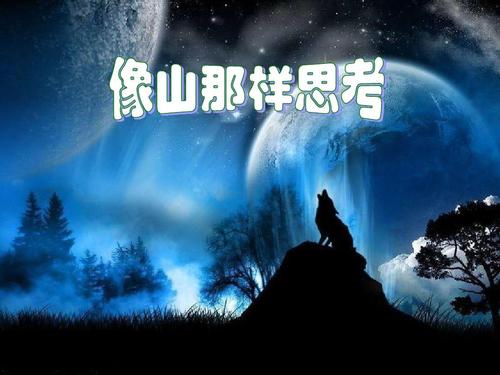 像山一样思考