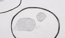 赋予思考以生命