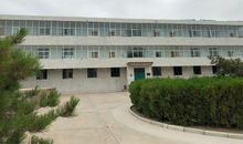 守候内心静待花开