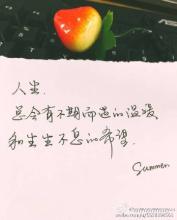 温和的