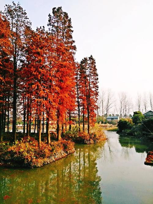 在森林公园李中水之旅
