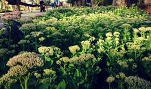 走过你我青春年华