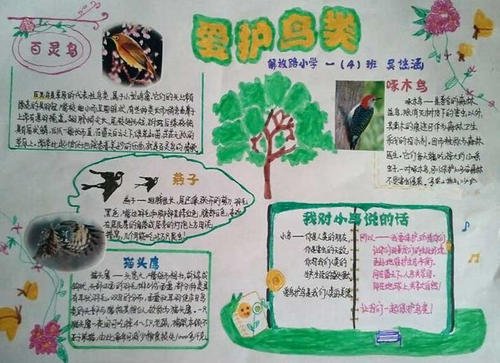 保护鸟类