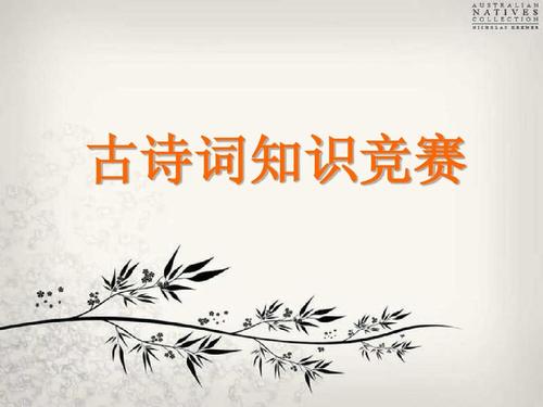 诗歌知识比赛