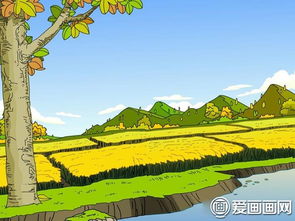 我心中的领域