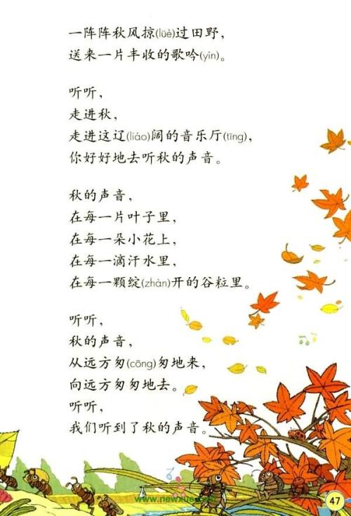 聆听树的声音