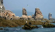 我心中的第一次