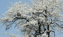 珍惜拥有的母爱