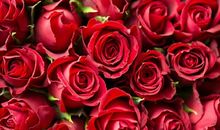 乐观让我充满阳光