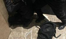 机智小狗赶贼记