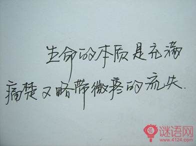 我从来没有欺骗自己。