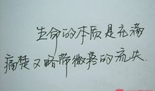 我从不欺骗自己