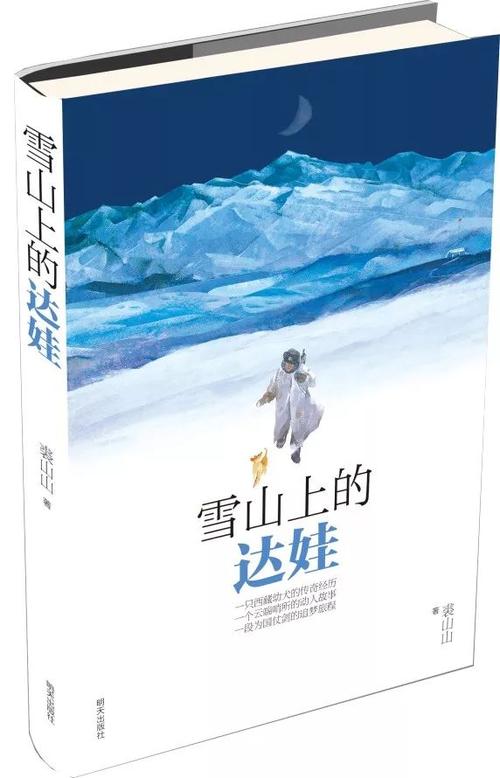 在读“雪地上的戴维”