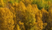 说好了秋天就回来