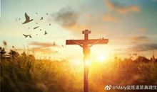 请相信生命在力量