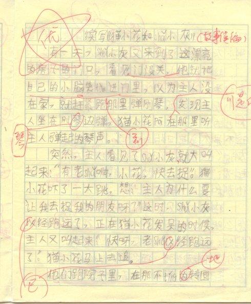 我想养猫