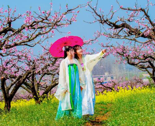 美丽的桃花仙女