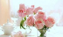 铭记于心的一句话