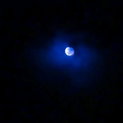 特别的夜晚