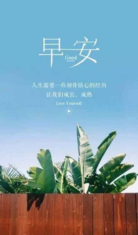 是美丽的