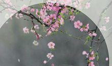 起风的时候想起你