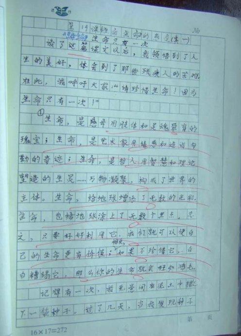 今天我很高兴写800个字