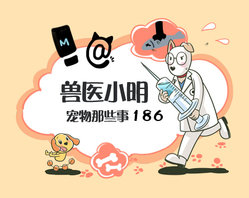 警惕或有