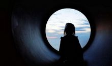 灌木丛里的白影