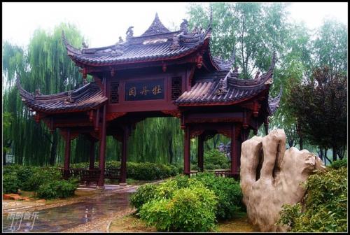 雨雨之旅